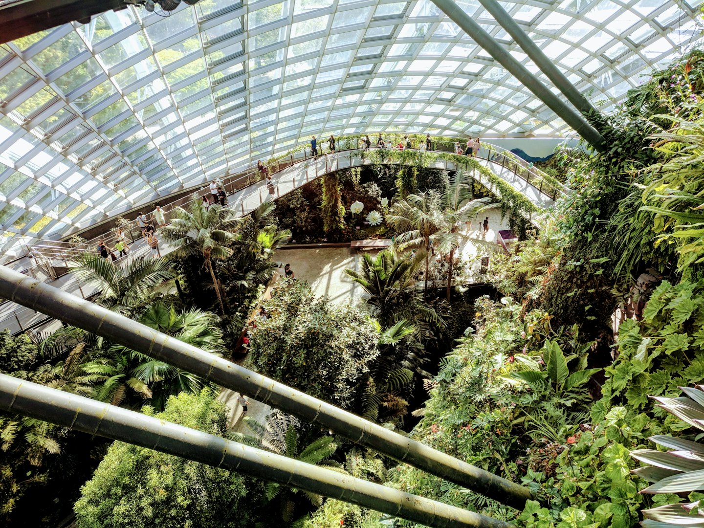 Odwiedzający spacerują po podwyższonych ścieżkach w bujnym, krytym ogrodzie botanicznym.