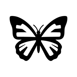 Kolorowo Motylkowo